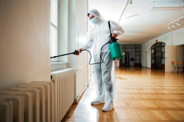 Best Residential Pest Control  in Elmwood, LA